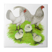 Oude Engelstalige zelfblauwe bantam familie Tegeltje (Voorkant)