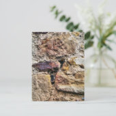 OUDE ENGLAND BRIEFKAART (Staand voorkant)