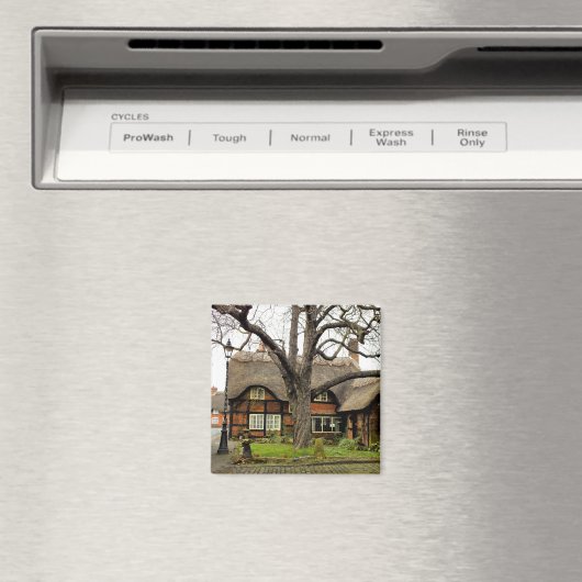 OUDE ENGLAND MAGNEET (Insitu (Vaatwasser))