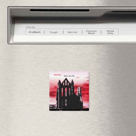 OUDE ENGLAND MAGNEET (Insitu (Vaatwasser))