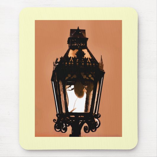 OUDE ENGLAND MUISMAT (Voorkant)