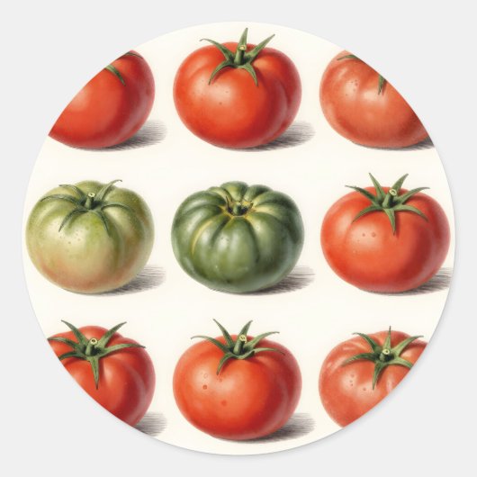 Oude erfgoed tomatensoort botanisch raster ronde sticker (Voorkant)