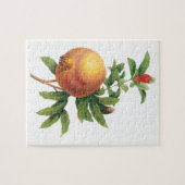 Oude etensvruchten, granaatappel door Redoute Legpuzzel (Horizontaal)