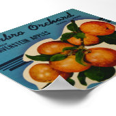  oude etiketten van appelfruit poster (Hoek)