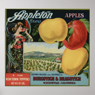  oude etiketten van appelfruit poster