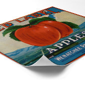 oude etiketten van appelfruit poster (Hoek)