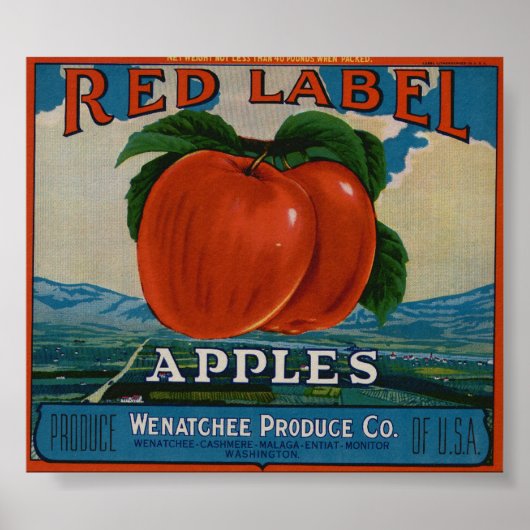  oude etiketten van appelfruit poster (Voorkant)