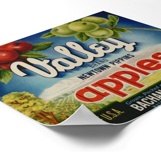 oude etiketten van appelfruit poster (Hoek)