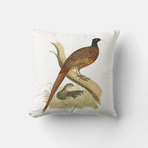 Oude fazant op tak jachtvogeltekening kleur kussen