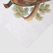 Oude fazant op tak met bomen Tekening Kleur Tissuepapier (Detail)