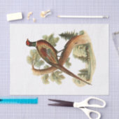 Oude fazant op tak met bomen Tekening Kleur Tissuepapier (Craft)