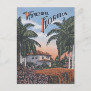 Oude Florida Brochure Briefkaart