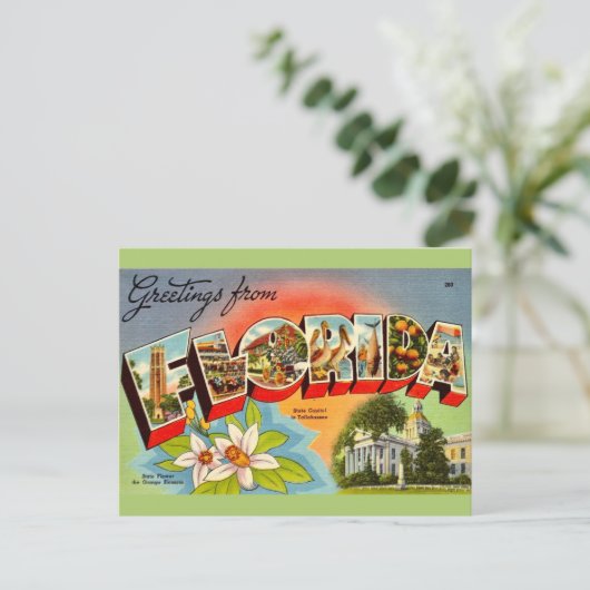 Oude Florida Groet Briefkaart (Staand voorkant)