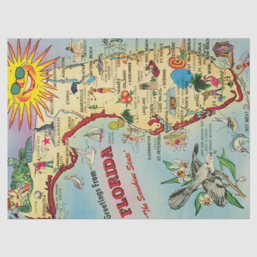 Oude Florida kaart Tissuepapier (Voorkant)