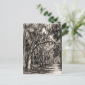 Oude Florida Oak Hammock Grafiet Schets | Rockledg Briefkaart (Staand voorkant)
