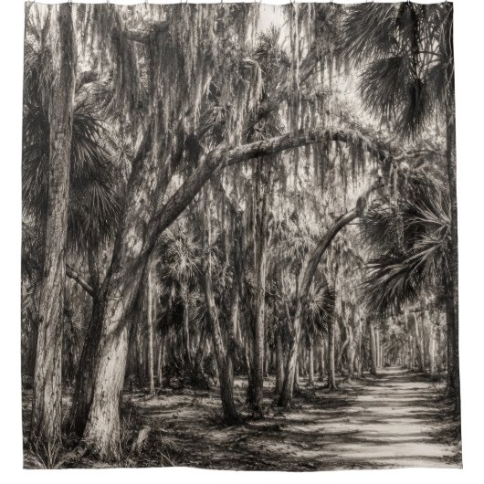 Oude Florida Oak Hammock Grafiet Schets | Rockledg Douchegordijn (Voorkant)