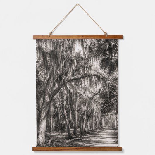 Oude Florida Oak Hammock Grafiet Schets | Rockledg Hangend Wandkleed (Voorkant)