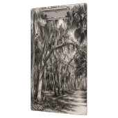 Oude Florida Oak Hammock Grafiet Schets | Rockledg Klembord (Links)