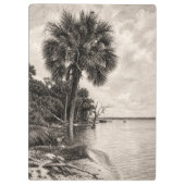 Oude Florida Oak Hammock Grafiet Schets | Rockledg Klembord (Achterkant)