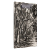 Oude Florida Oak Hammock Grafiet Schets | Rockledg Klembord (Rechts)