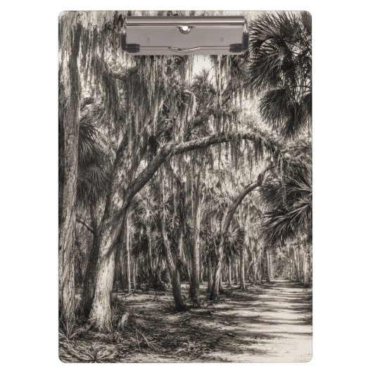 Oude Florida Oak Hammock Grafiet Schets | Rockledg Klembord (Voorkant)
