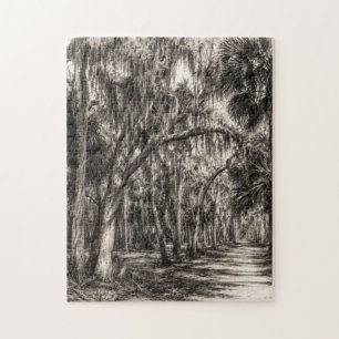 Oude Florida Oak Hammock Grafiet Schets   Rockledg Legpuzzel