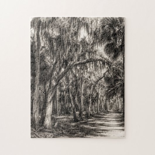 Oude Florida Oak Hammock Grafiet Schets | Rockledg Legpuzzel (Verticaal)