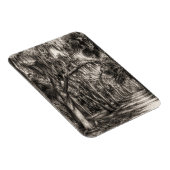Oude Florida Oak Hammock Grafiet Schets | Rockledg Magneet (Rechterzijde)