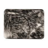 Oude Florida Oak Hammock Grafiet Schets | Rockledg Magneet (Horizontaal)