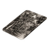 Oude Florida Oak Hammock Grafiet Schets | Rockledg Magneet (Linkerzijde)
