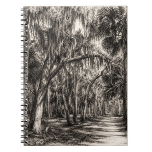 Oude Florida Oak Hammock Grafiet Schets Rockledg Notitieboek