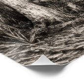 Oude Florida Oak Hammock Grafiet Schets | Rockledg Perfect Poster (Hoek)
