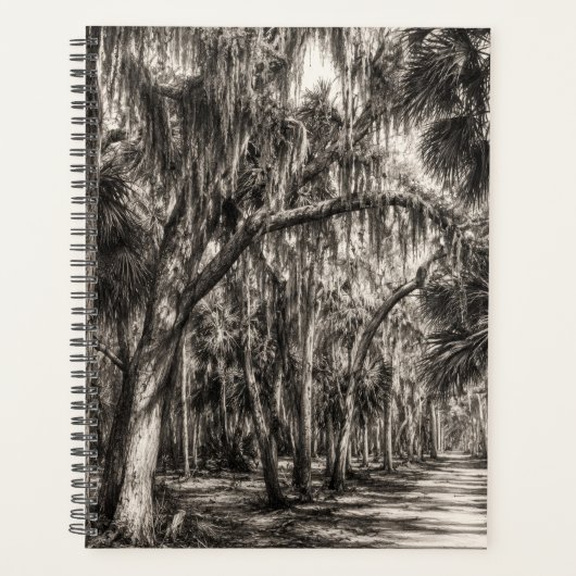 Oude Florida Oak Hammock Grafiet Schets | Rockledg Planner (Voorkant)
