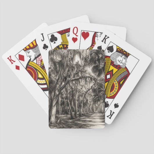 Oude Florida Oak Hammock Grafiet Schets | Rockledg Pokerkaarten (Achterkant)