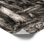 Oude Florida Oak Hammock Grafiet Schets | Rockledg Poster (Hoek)