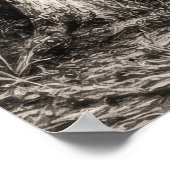 Oude Florida Oak Hammock Grafiet Schets | Rockledg Poster (Hoek)