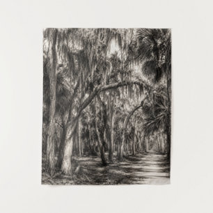 Oude Florida Oak Hammock Grafiet Schets   Rockledg Wandkleed