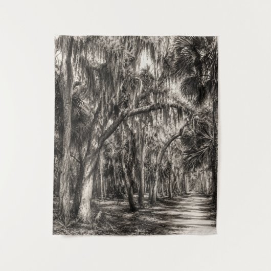 Oude Florida Oak Hammock Grafiet Schets | Rockledg Wandkleed (Voorkant)