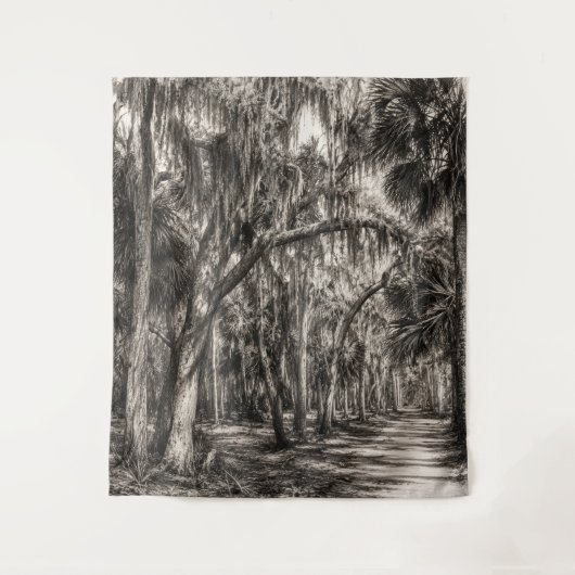 Oude Florida Oak Hammock Grafiet Schets | Rockledg Wandkleed (Voorkant)