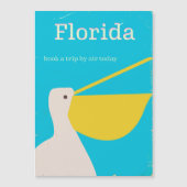 Oude Florida Pelikaan reisposter (Voorkant)