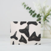 Oude Florida Shark Tanden Kaak Fossielen Briefkaart (Staand voorkant)