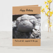 OUDE FOSSIELE de verjaardagskaart van het GEZICHT Kaart (Gele Bloem)