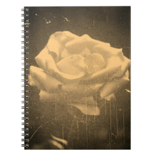 Oude foto Mooie roze roze roze close-up Notitieboek