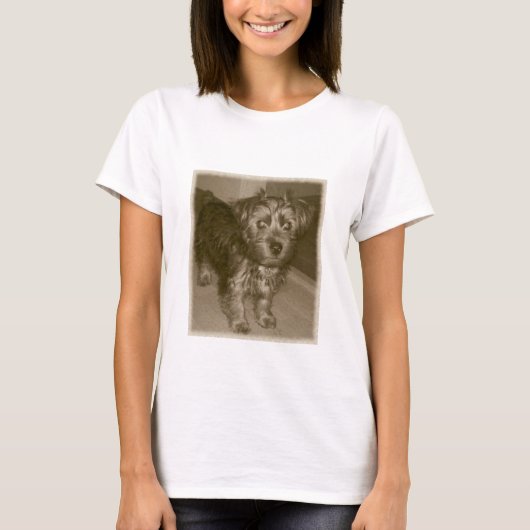 Oude foto Silky yorkie shier T-shirt (Voorkant)