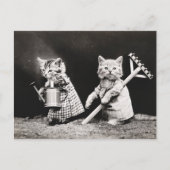 Oude foto van tuinkatten briefkaart (Voorkant)