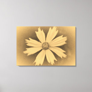 Oude foto Yellow Cosmos Flower Close 3 Canvas Afdruk