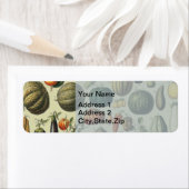 Oude Franse botanische fruitposter kunst Etiket (Insitu)
