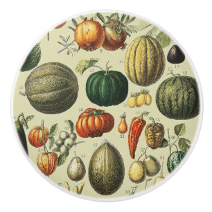 Oude Franse Botanische Fruitposter Kunst Keramische Knop