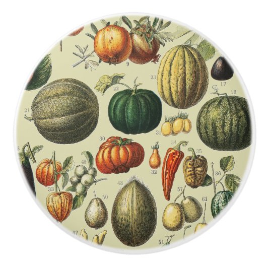 Oude Franse Botanische Fruitposter Kunst Keramische Knop (Voorkant)