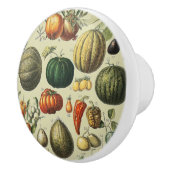 Oude Franse Botanische Fruitposter Kunst Keramische Knop (Rechts)